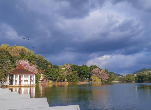 Car Hire in Kandy, Sri Lanka: A Convenient Way to Explore the Hill Capital